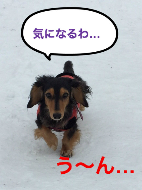 BlogPaint