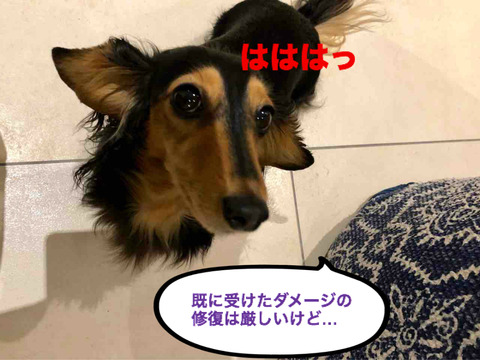 BlogPaint