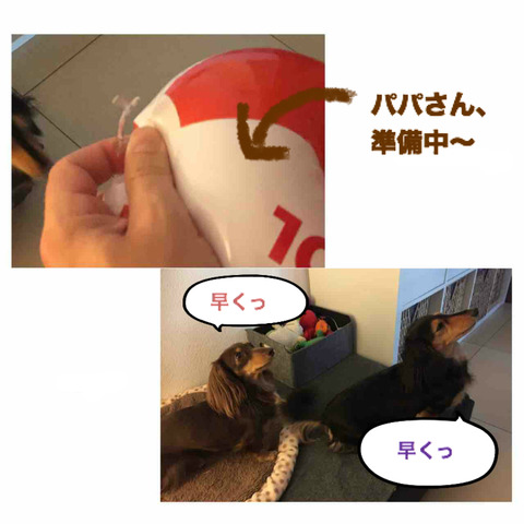 BlogPaint