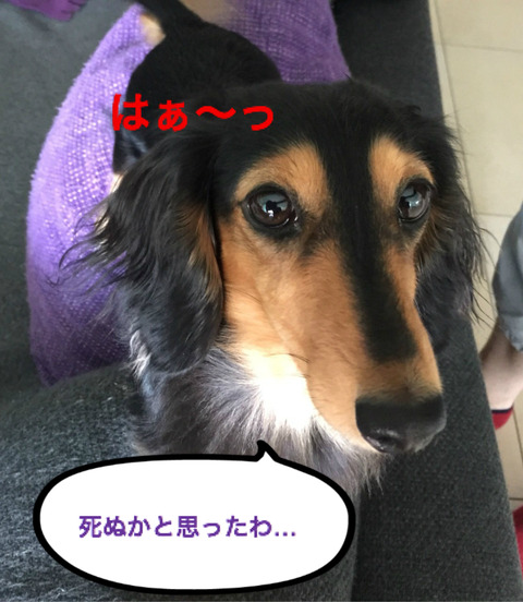 BlogPaint