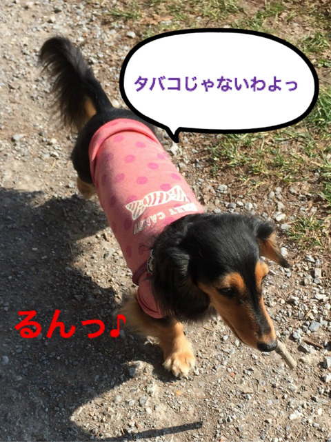 BlogPaint