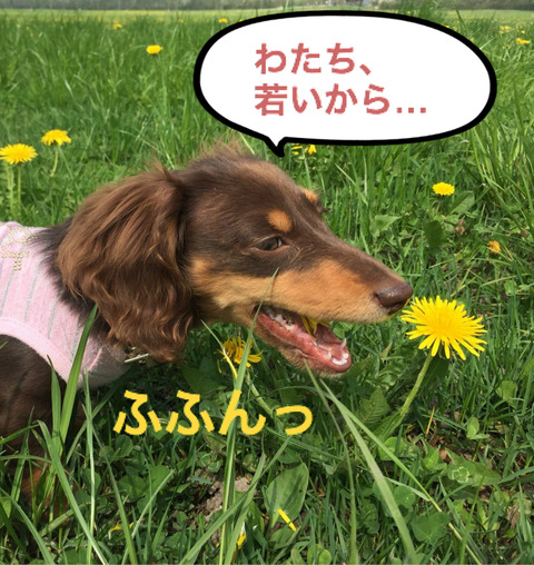 BlogPaint