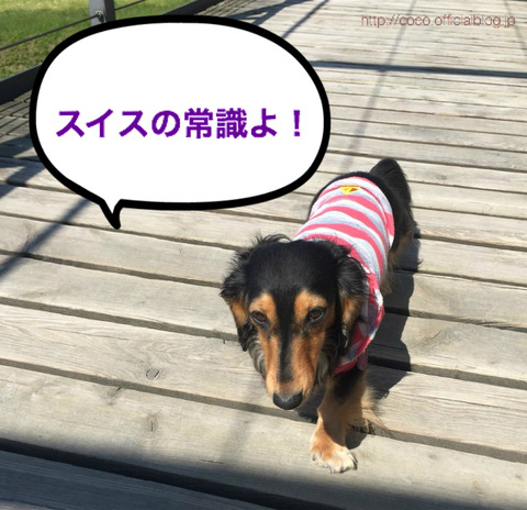 BlogPaint