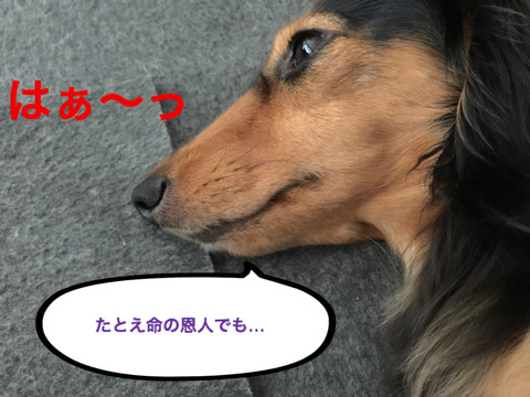 BlogPaint