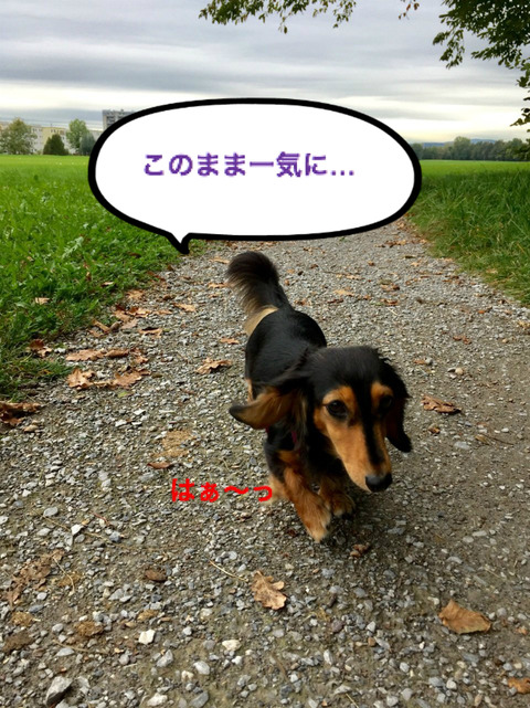 BlogPaint
