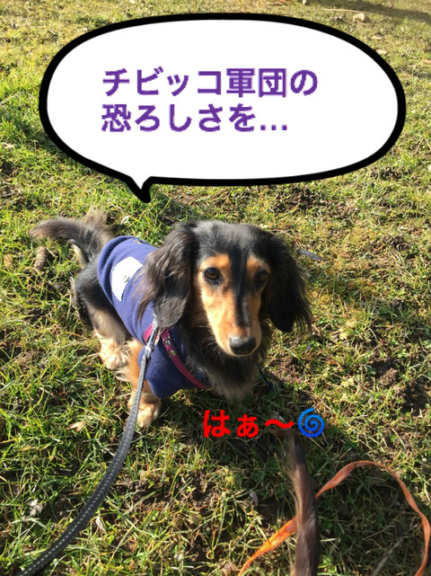 BlogPaint