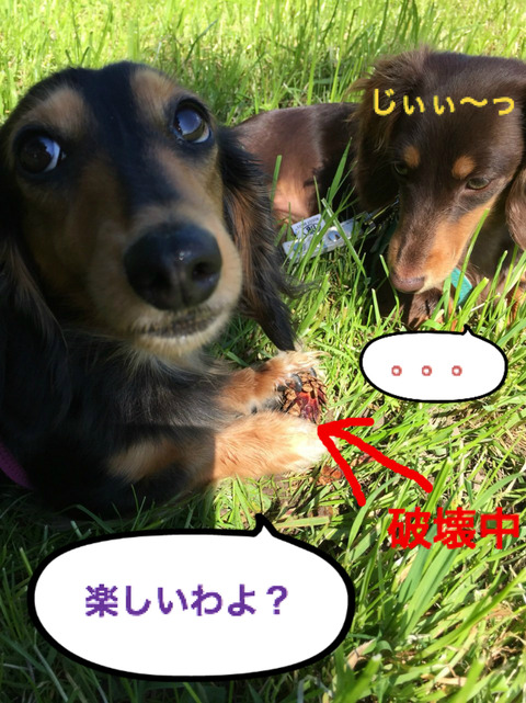 BlogPaint