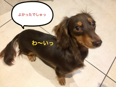BlogPaint