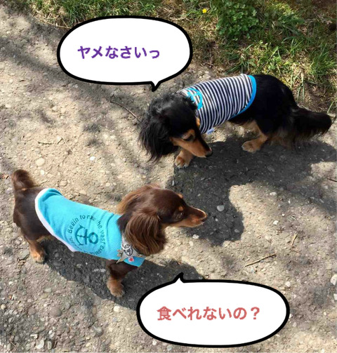 BlogPaint