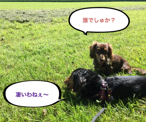 BlogPaint