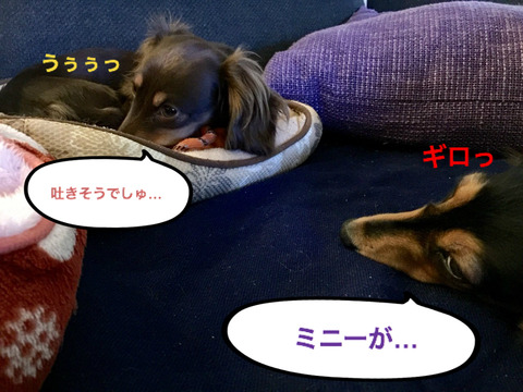 BlogPaint