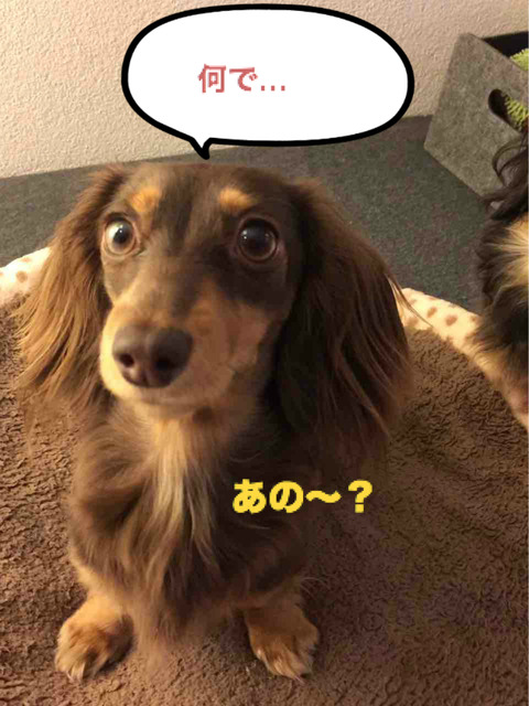 BlogPaint