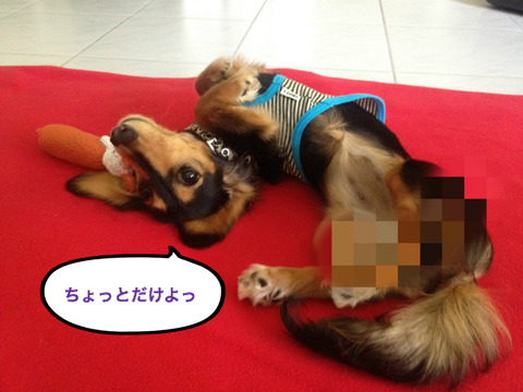BlogPaint