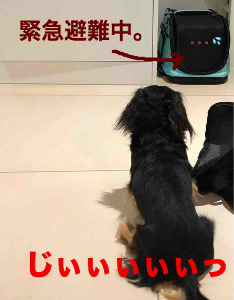 BlogPaint