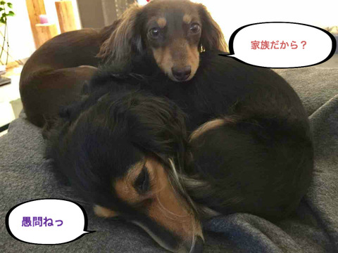 BlogPaint