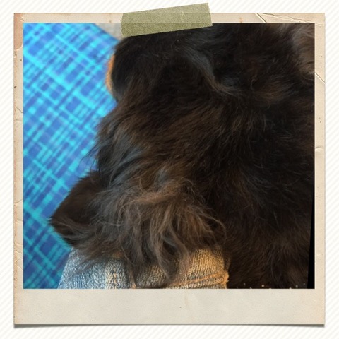 2016-05-30-04-02-18