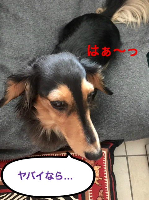BlogPaint
