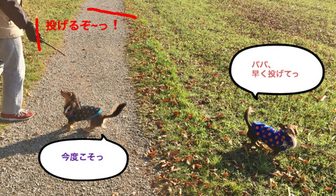 BlogPaint