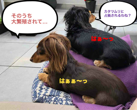 BlogPaint