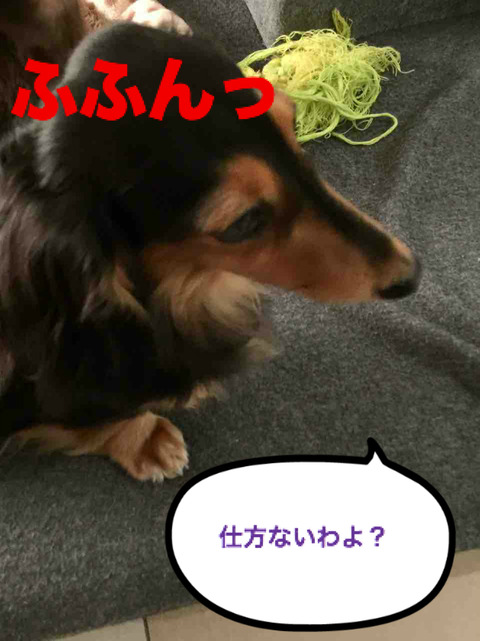 BlogPaint