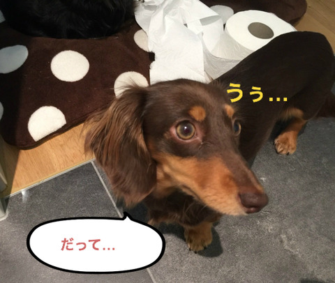 BlogPaint