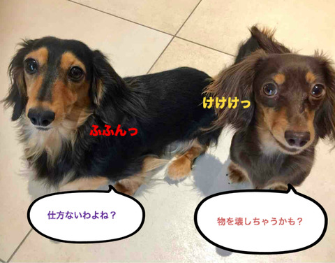 BlogPaint
