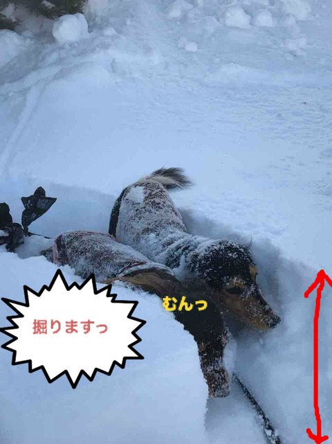 BlogPaint