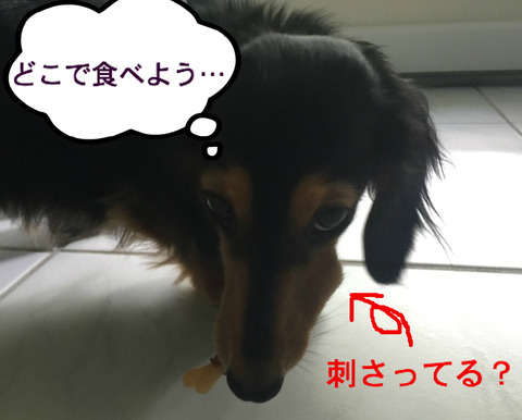 BlogPaint