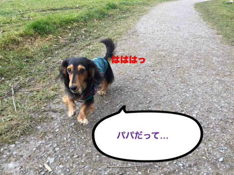 BlogPaint