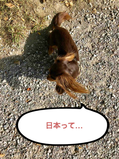 BlogPaint