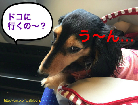 BlogPaint