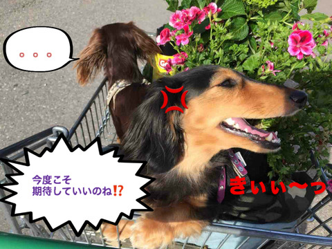 BlogPaint