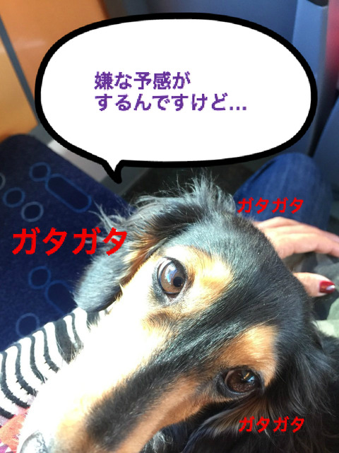 BlogPaint