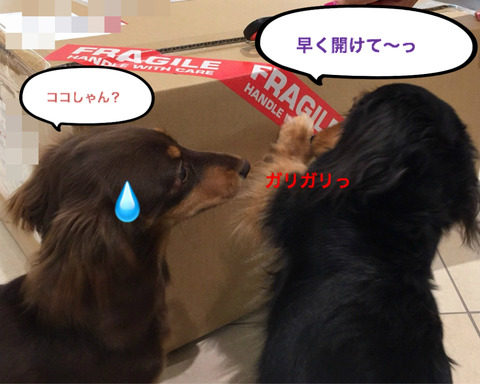 BlogPaint