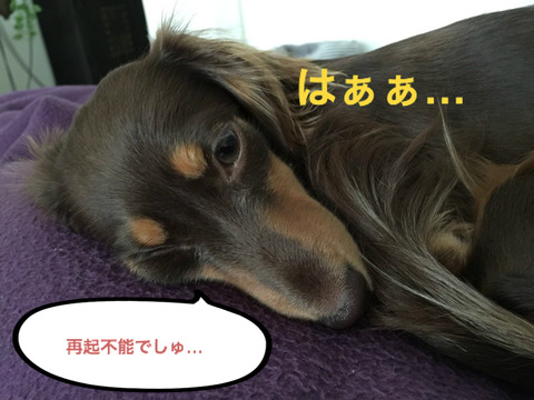 BlogPaint