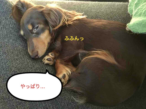 BlogPaint