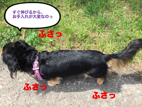 BlogPaint