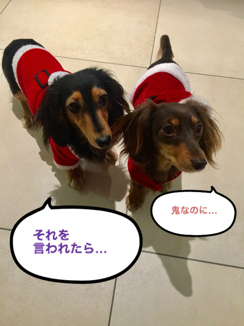 BlogPaint