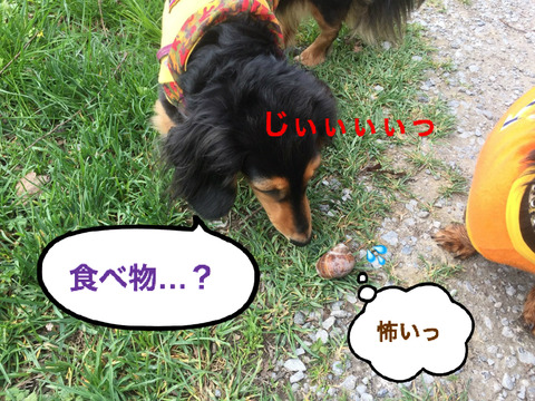 BlogPaint