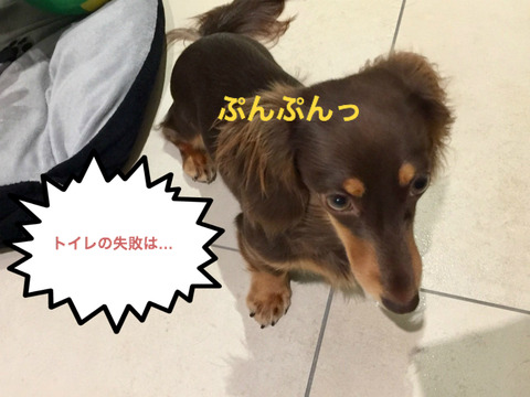 BlogPaint