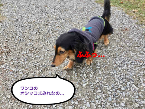 BlogPaint
