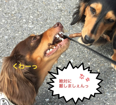 BlogPaint