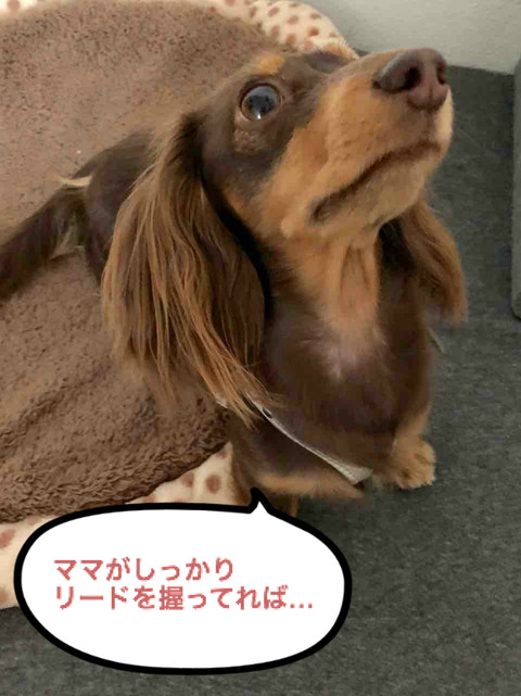 BlogPaint