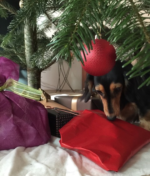 2016-12-25-19-32-38