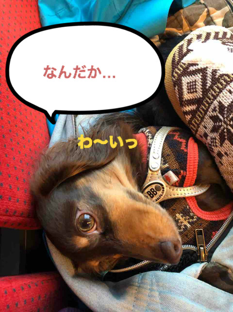 BlogPaint