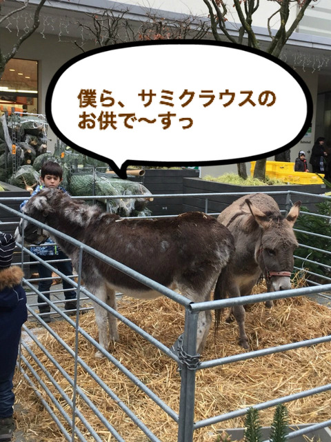 BlogPaint