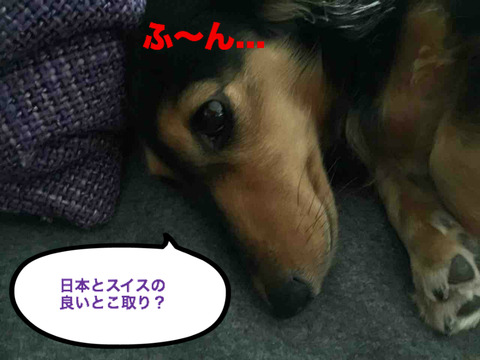 BlogPaint