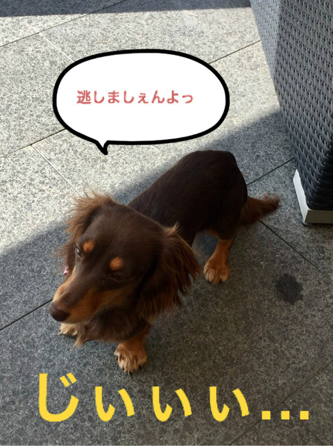 BlogPaint
