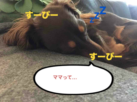 BlogPaint