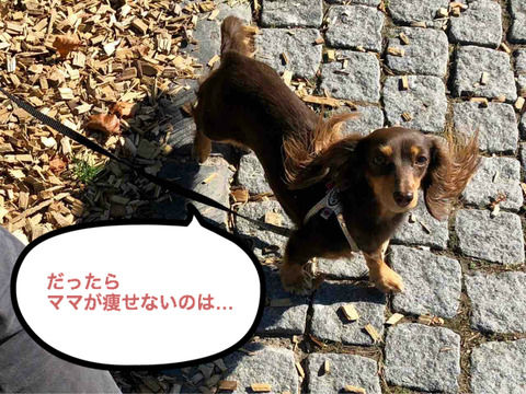 BlogPaint
